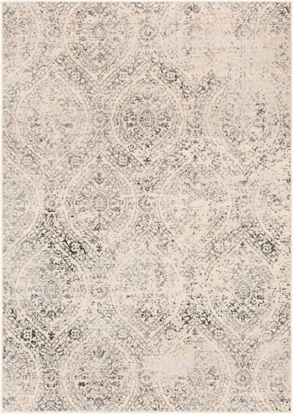 City Light CYL-2318 4' x 6' Machine Woven Area Rug