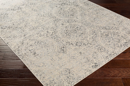 City Light CYL-2318 4' x 6' Machine Woven Area Rug
