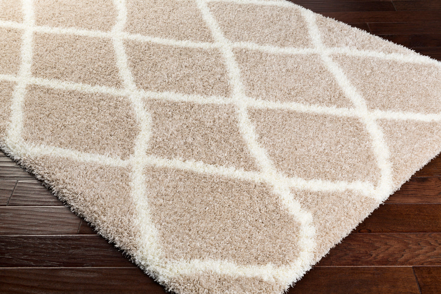 Alfombra tejida a máquina Cloudy Shag CYS-3403 de 1,52 m x 2,13 m