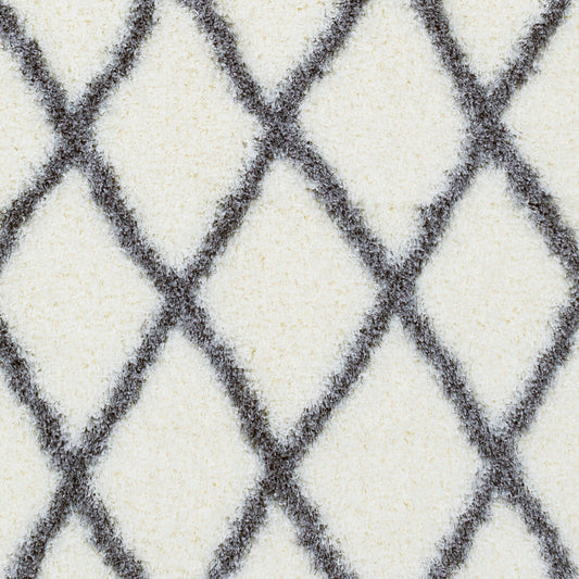 Alfombra decorativa tejida a máquina Cloudy Shag CYS-3412 de 2' x 3'