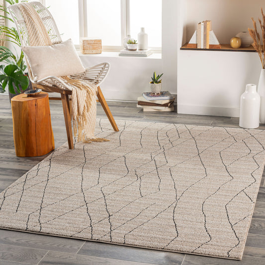 Cozy CZY-2300 5' x 7' Machine Woven Area Rug