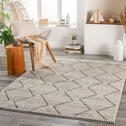 Cozy CZY-2302 5' x 7' Machine Woven Area Rug