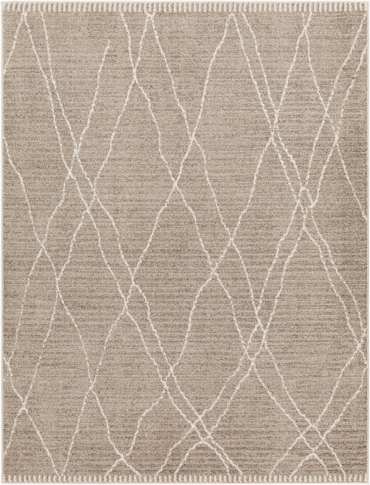 Cozy CZY-2303 Alfombra decorativa tejida a máquina de 3' x 5'