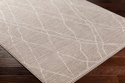 Cozy CZY-2303 5' x 7' Machine Woven Area Rug