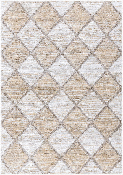 Alfombra tejida a máquina Delight Shag DEL-2306 de 1,52 m x 2,13 m