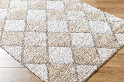 Alfombra tejida a máquina Delight Shag DEL-2306 de 1,52 m x 2,13 m