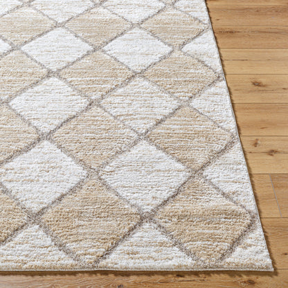 Alfombra tejida a máquina Delight Shag DEL-2306 de 1,52 m x 2,13 m