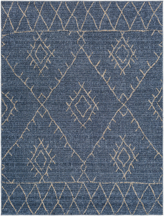 Delphi DEP-2310 5' x 7' Machine Woven Area Rug