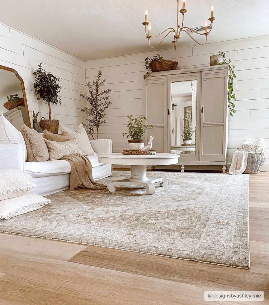 Avant Garde AVT-2315 Machine Woven Rug