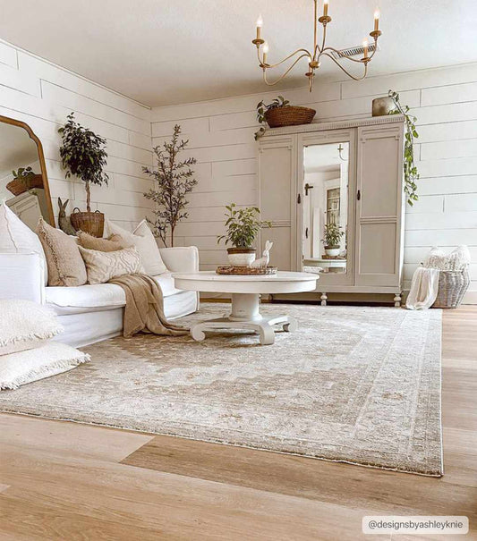 Avant Garde AVT-2315 Machine Woven Rug