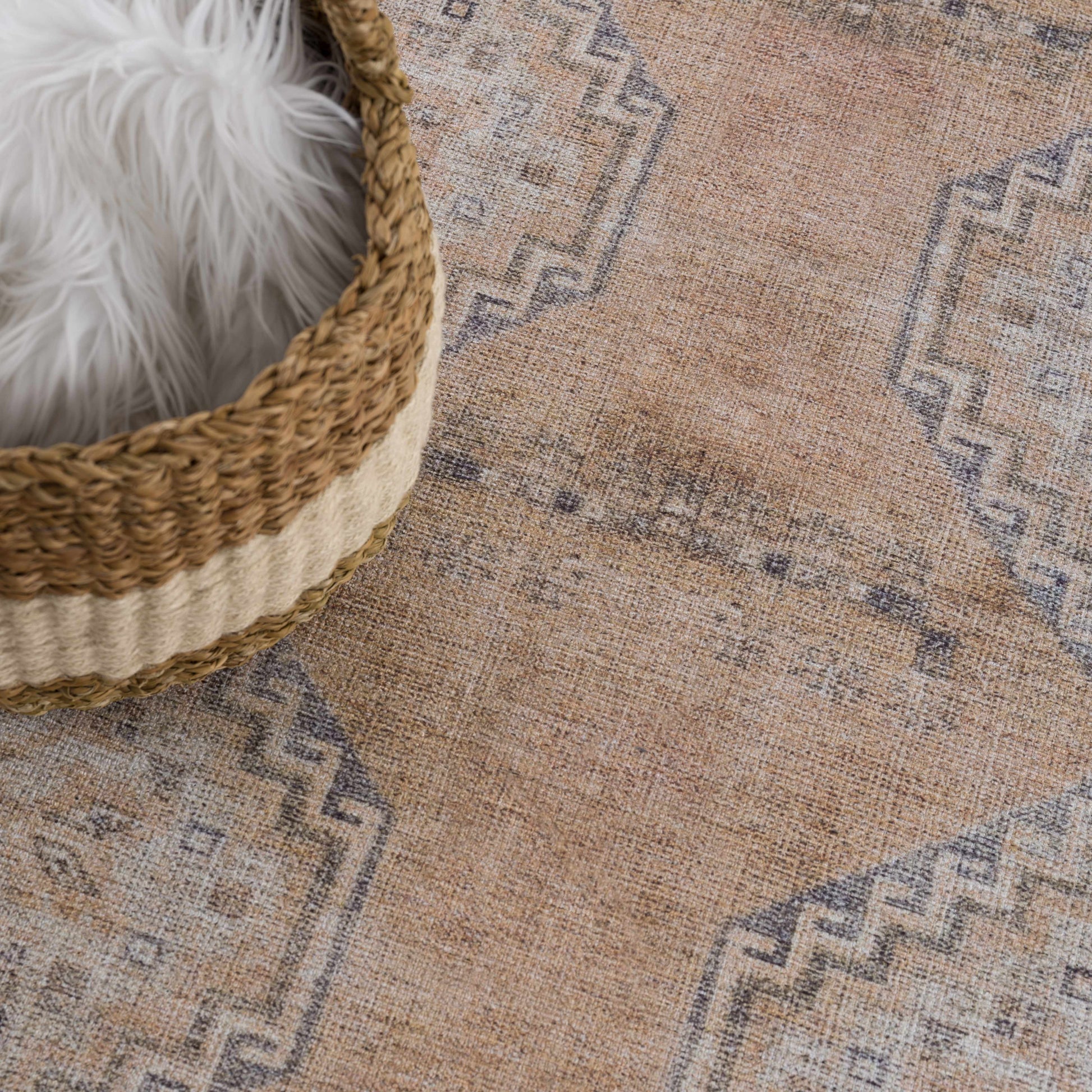Antiquity AUY-2305 Machine Woven Rug