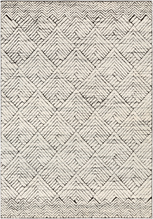 Alfombra tejida a máquina Dersim DSM-2310 de 8' x 10'