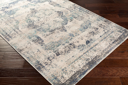 Alfombra decorativa tejida a máquina Dublin DUB-2304 de 2' x 3'