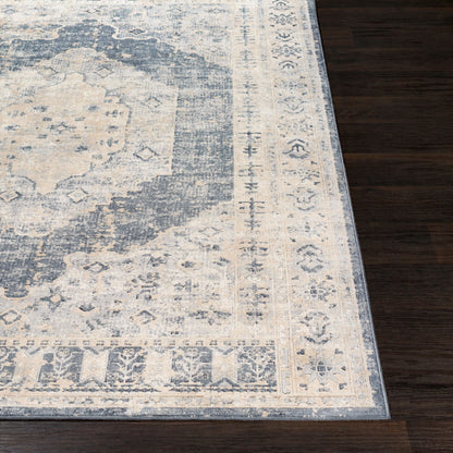 Durham DUR-1015 2' x 3' Machine Woven Accent Rug
