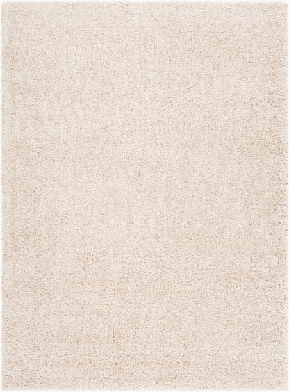 Alfombra decorativa tejida a máquina Deluxe Shag DXS-2301 de 2' x 3'