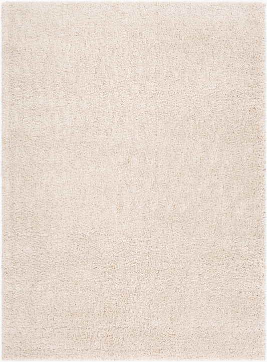 Alfombra decorativa tejida a máquina Deluxe Shag DXS-2301 de 2' x 3'