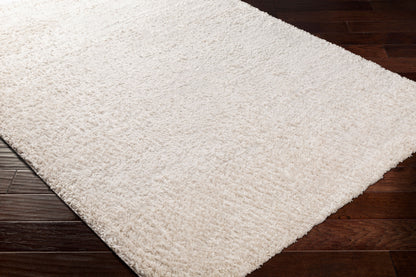 Alfombra decorativa tejida a máquina Deluxe Shag DXS-2301 de 2' x 3'