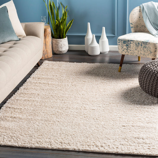 Alfombra decorativa tejida a máquina Deluxe Shag DXS-2301 de 2' x 3'