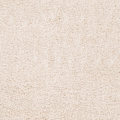 Alfombra decorativa tejida a máquina Deluxe Shag DXS-2301 de 2' x 3'