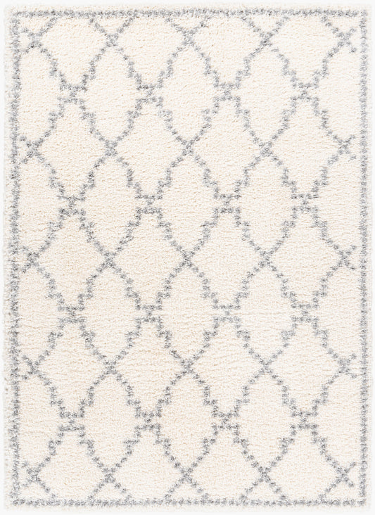 Alfombra decorativa tejida a máquina Deluxe Shag DXS-2305 de 2' x 3'