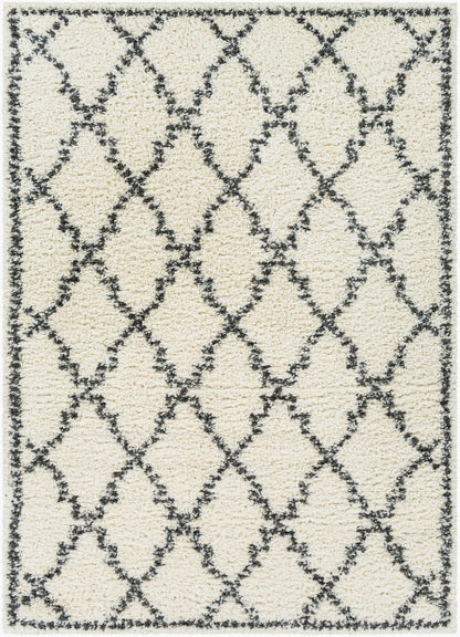 Deluxe Shag DXS-2306 5' x 7' Machine Woven Area Rug