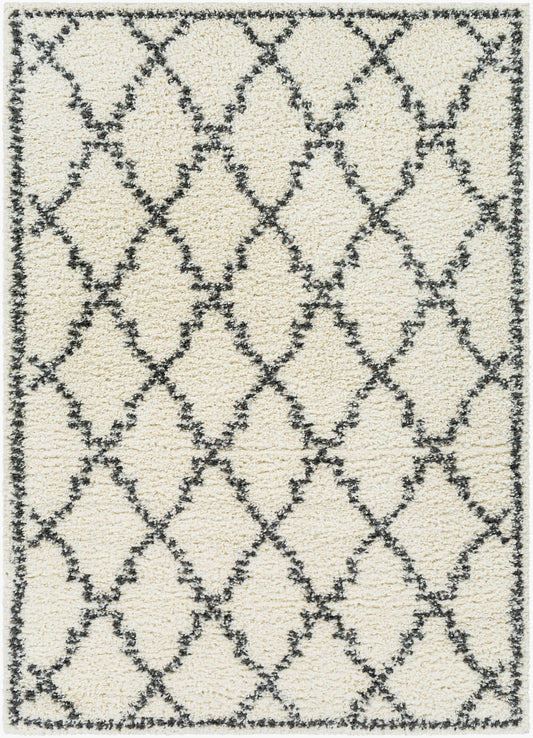 Deluxe Shag DXS-2306 5' x 7' Machine Woven Area Rug