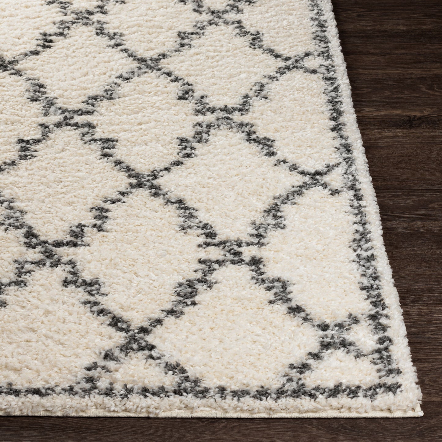 Deluxe Shag DXS-2306 5' x 7' Machine Woven Area Rug