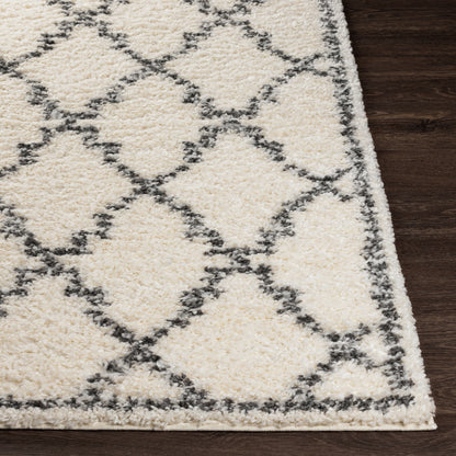 Deluxe Shag DXS-2306 5' x 7' Machine Woven Area Rug
