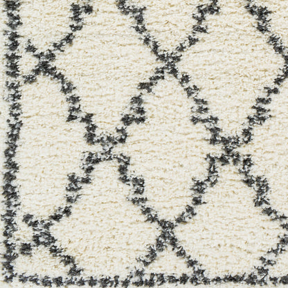 Deluxe Shag DXS-2306 5' x 7' Machine Woven Area Rug