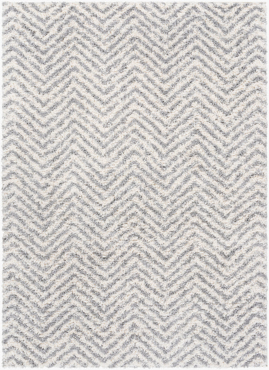 Alfombra decorativa tejida a máquina Deluxe Shag DXS-2307 de 2' x 3'