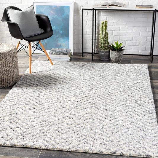 Alfombra decorativa tejida a máquina Deluxe Shag DXS-2307 de 2' x 3'