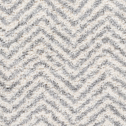 Alfombra decorativa tejida a máquina Deluxe Shag DXS-2307 de 2' x 3'