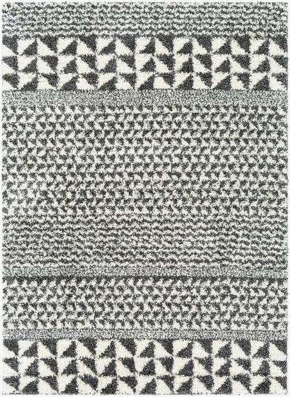 Deluxe Shag DXS-2310 5' x 7' Machine Woven Area Rug
