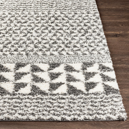 Deluxe Shag DXS-2310 5' x 7' Machine Woven Area Rug