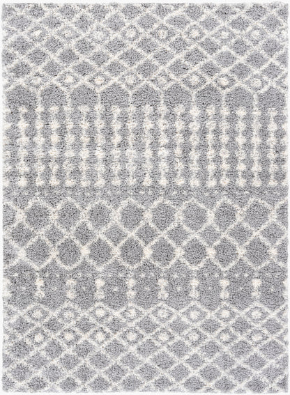 Deluxe Shag DXS-2313 2' x 3' Machine Woven Accent Rug