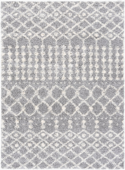 Deluxe Shag DXS-2313 2' x 3' Machine Woven Accent Rug