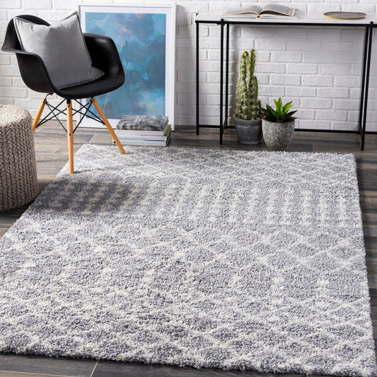 Deluxe Shag DXS-2313 2' x 3' Machine Woven Accent Rug