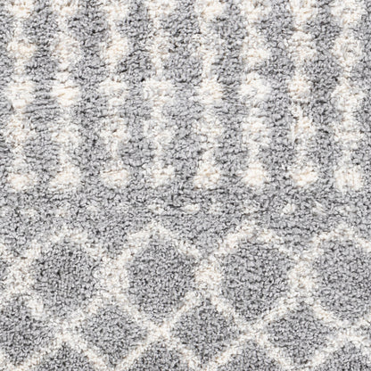 Deluxe Shag DXS-2313 2' x 3' Machine Woven Accent Rug