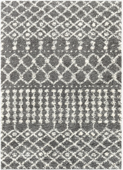 Deluxe Shag DXS-2315 5' x 7' Machine Woven Area Rug