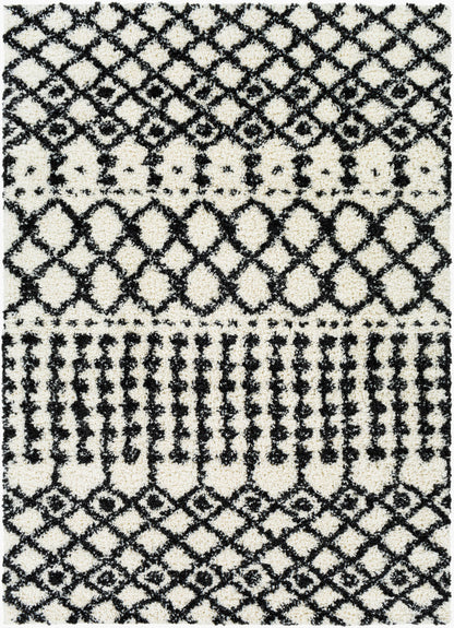 Deluxe Shag DXS-2316 5' x 7' Machine Woven Area Rug