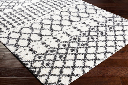 Deluxe Shag DXS-2316 5' x 7' Machine Woven Area Rug