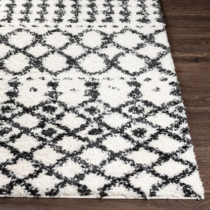 Deluxe Shag DXS-2316 5' x 7' Machine Woven Area Rug