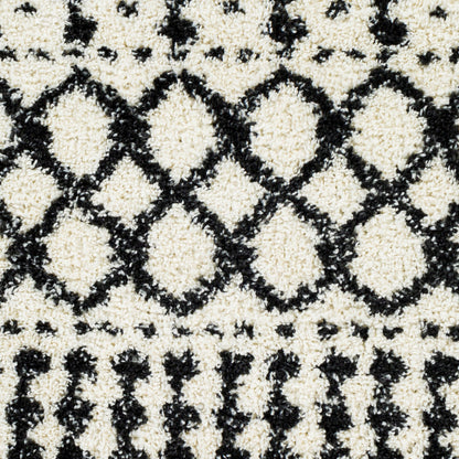Deluxe Shag DXS-2316 5' x 7' Machine Woven Area Rug