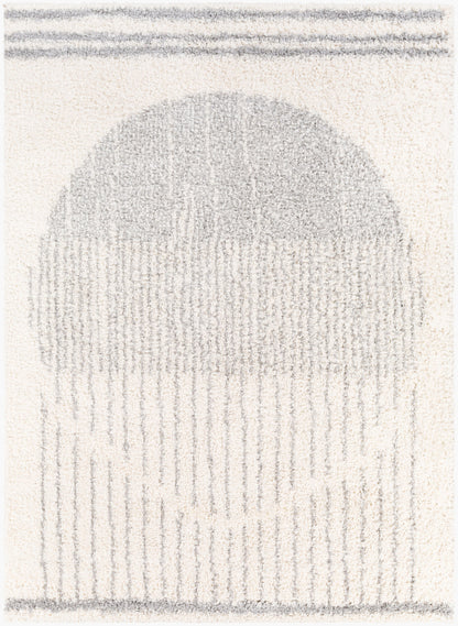 Alfombra decorativa tejida a máquina Deluxe Shag DXS-2318 de 2' x 3'