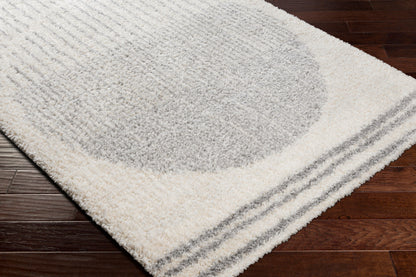 Alfombra decorativa tejida a máquina Deluxe Shag DXS-2318 de 2' x 3'