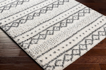 Alfombra decorativa tejida a máquina Deluxe Shag DXS-2319 de 2' x 3'