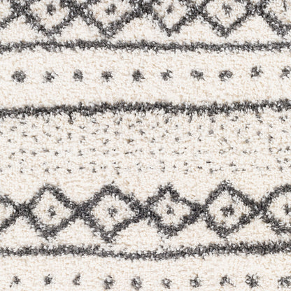 Alfombra decorativa tejida a máquina Deluxe Shag DXS-2319 de 2' x 3'