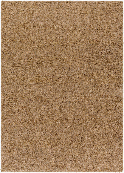 Deluxe Shag DXS-2321 2' x 3' Machine Woven Accent Rug