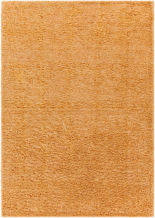 Alfombra decorativa tejida a máquina Deluxe Shag DXS-2324 de 2' x 3'