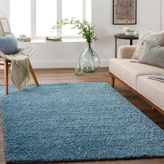 Alfombra decorativa tejida a máquina Deluxe Shag DXS-2325 de 2' x 3'